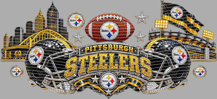 16oz team-NFL 3706